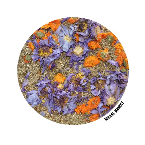 Blue lotus flower johns - st,