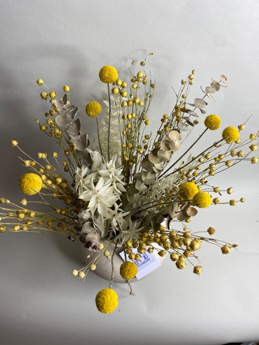 Cottage flowers dried flower - flowers,