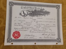 1954 PIGEON RACE American