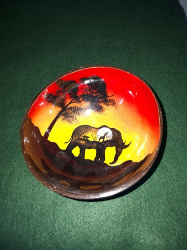 Coconut shell bowl - coconut,