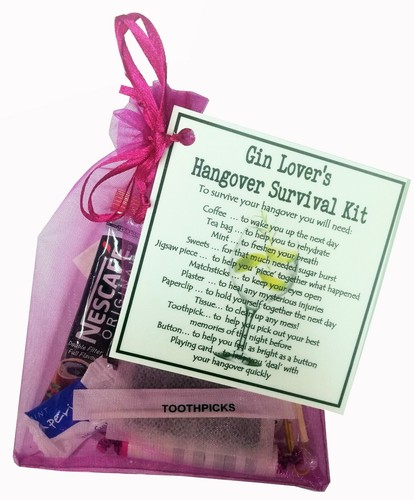Gin lover hangover - gin,