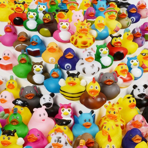 Pack rubber duck - 24-pack,