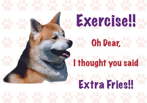 Funny akita dog vinyl - funny,