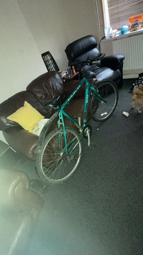 Raleigh max hybrid mountain - max,