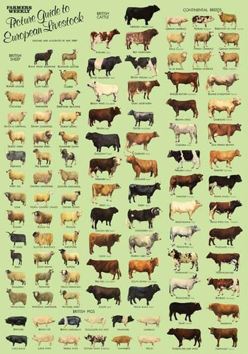 Farmers weekly magazine guide - farmers,