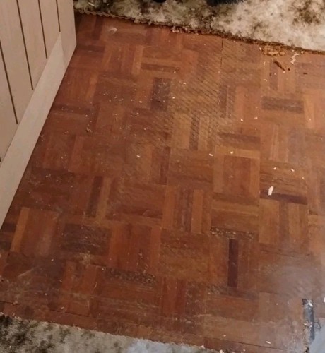 Reclaimed parquet floor 40 - reclaimed,