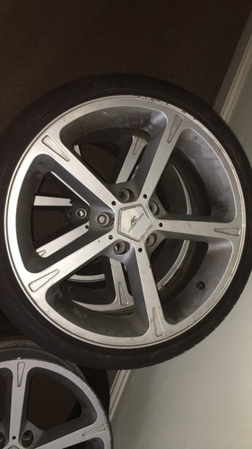 Genuine schnitzer - schnitzer, 19”