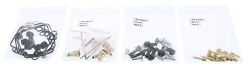 Carburetor rebuild kit - rebuild,