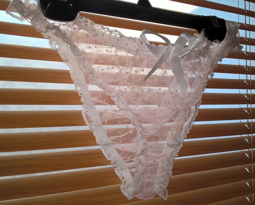Sexy sheer white pink swiss - sheer, /