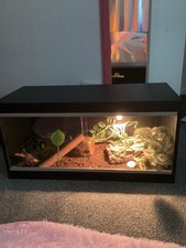 Large Reptile Enclosure With Accessories