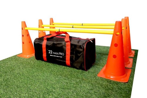 Agility training hurdle - training,