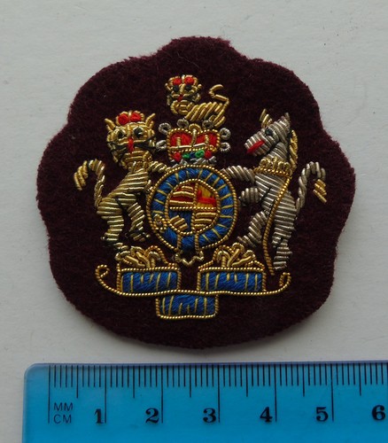 Ramc warrant officer class - ramc, 1