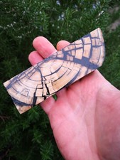 Stabilized Knife Scales Fossil