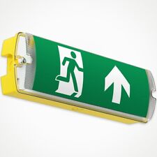 110v LED Emergency Bulkhead