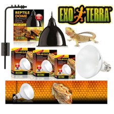 Exo Terra Solar Glo Bulb