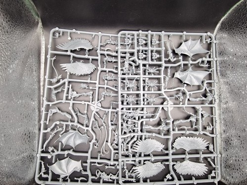 Dark eldar scourges bnos - 5,