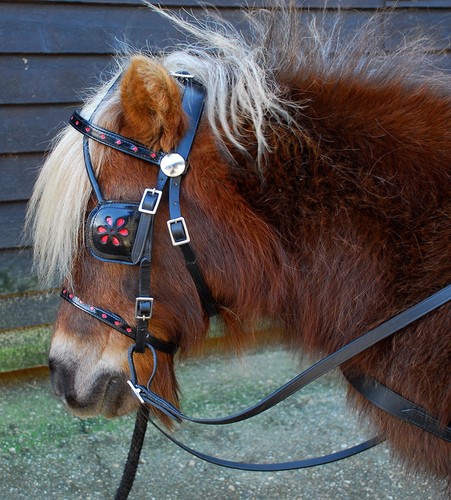Miniature leather harness - miniature,
