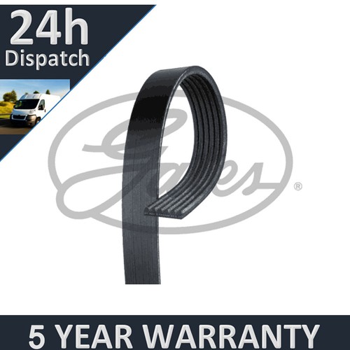 Gates ribbed belts - v-ribbed, fits