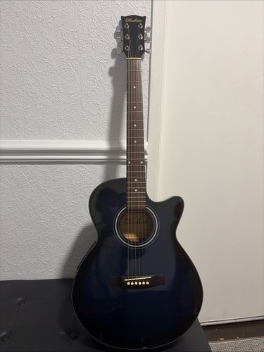 Electric acoustic guitar - acoustic,