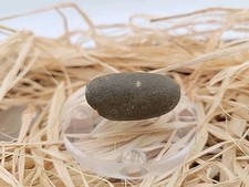 Real Dinosaur Egg Fossil