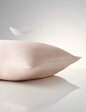 M&S 100% Mulberry Silk Pillow