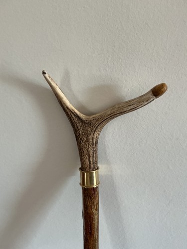 Red deer antler - thumb,