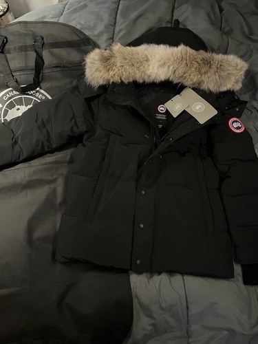 Superclone canada goose - superclone,