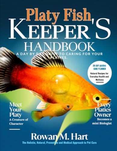 Platy fish keeper - platy,