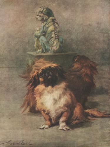 Pekingese vintage 1934 dog art - dog,