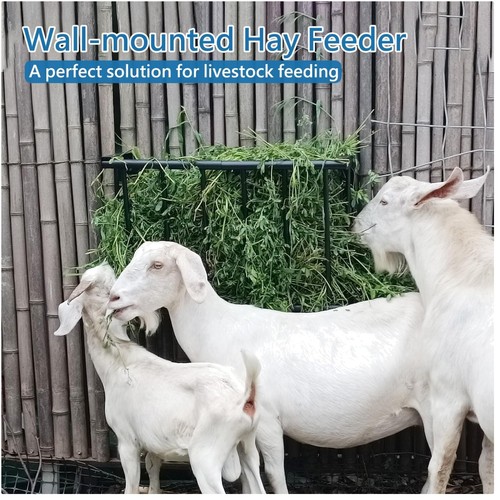 Scientific feeding solution - feeding,