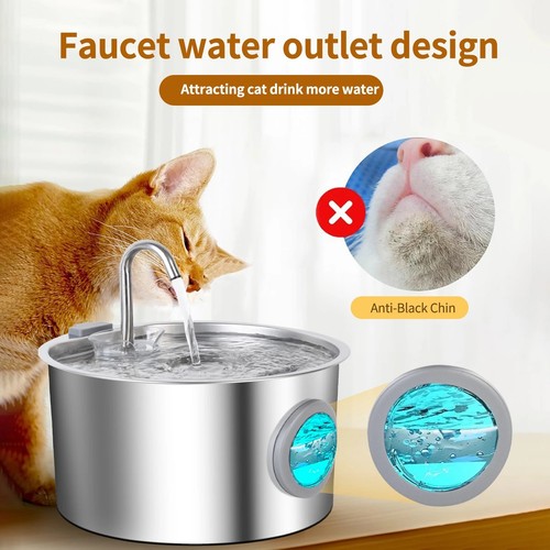 Selene dog water - selene,