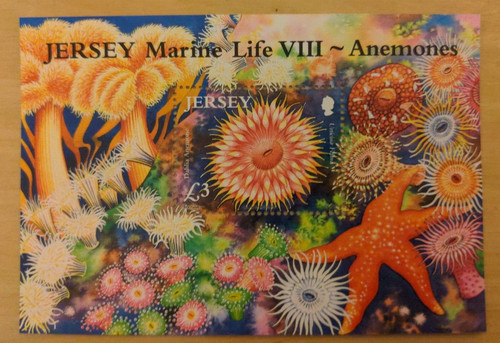 Jersey 2010 marine - jersey, life
