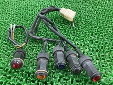 RG250 Gamma Indicator Lamp