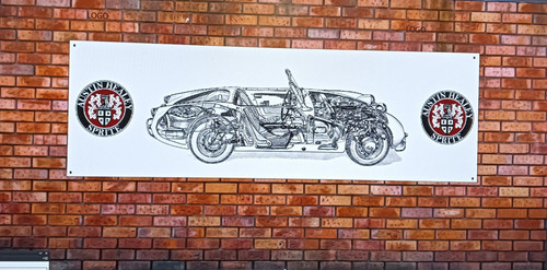 Austin healey frogeye - austin,