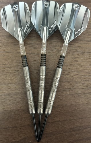 Masterdart michael van gerwen - michael,