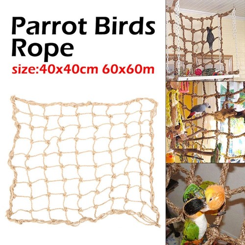 Birds climbing training rope - climbing,