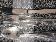 Stainless Steel Serving Spoon