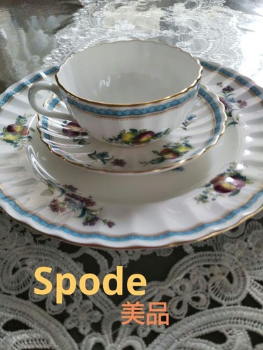 Spode trapnell sprays teacup - teacup, &