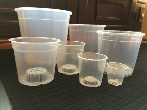 Clear orchid plastic - clear,