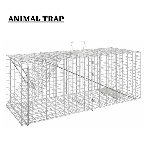 Animal trap humane - animal,