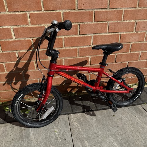 Raleigh kids mtb bike - raleigh,