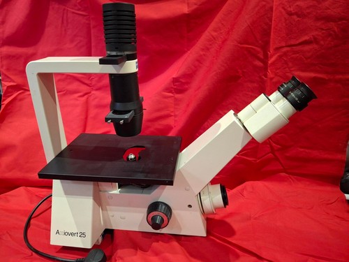 Zeiss axiovert 25c - 25c, inverted
