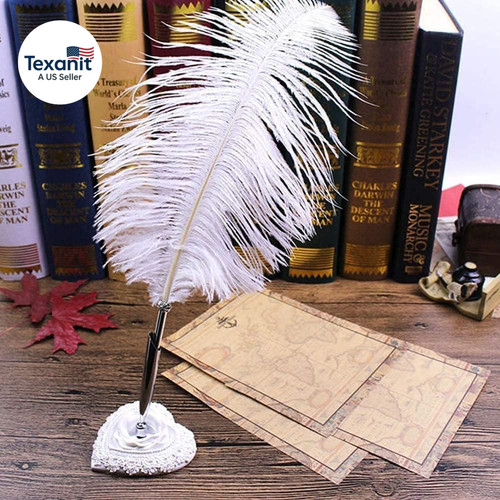 Ostrich feather quill - ostrich,