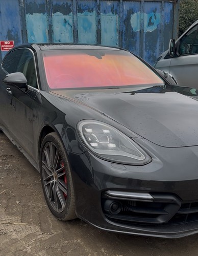 Red chameleon tint film - chameleon,