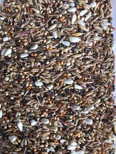 Bullfinch seed mix, Premium quality, 3kg, 6kg, 8kg.other weights available