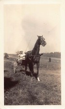 Vintage Man Sulky Cart