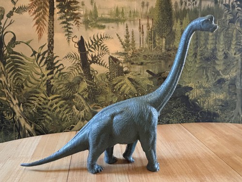 Vintage 1984 natural history - vintage,