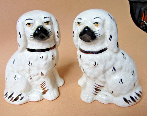 Pair spaniel dogs - spaniel,