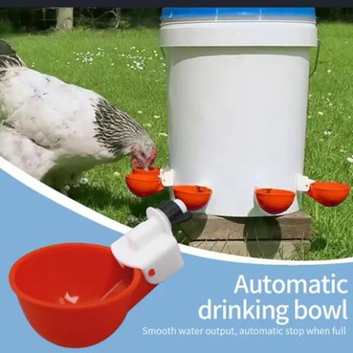 8pcs chicken poultry drinker - 8pcs,
