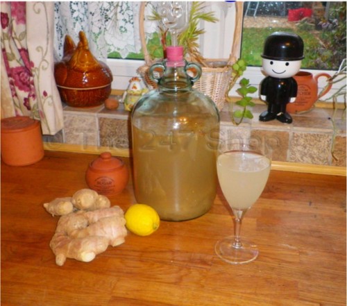 Ginger beer making - ginger, kit